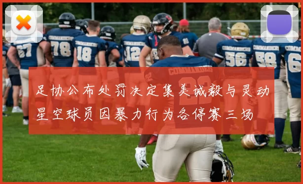 足协公布处罚决定集美诚毅与灵动星空球员因暴力行为各停赛三场