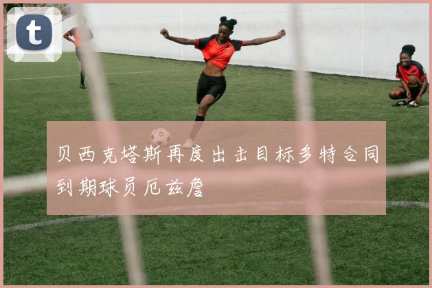 贝西克塔斯再度出击目标多特合同到期球员厄兹詹
