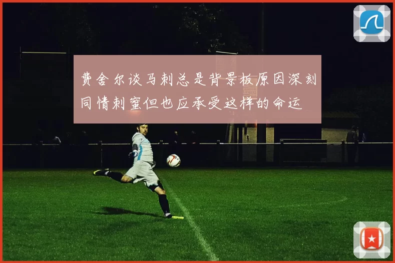 费舍尔谈马刺总是背景板原因深刻同情刺蜜但也应承受这样的命运